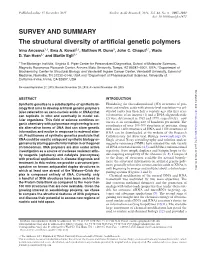 The Structural Diversity of Artificial Genetic Polymers