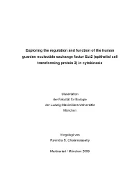 Exploring the Regulation and Function of the Human Guanine Nucleotide Exchange Factor Ect2 (Epithelial Cell Transforming Protein 2) in Cytokinesis