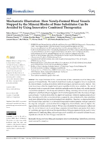 How Newly-Formed Blood Vessels Stopped by the Mineral Blocks of Bone Substitutes Can Be Avoided by Using Innovative Combined Therapeutics