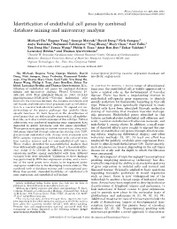 Identification of Endothelial Cell Genes by Combined Database Mining And