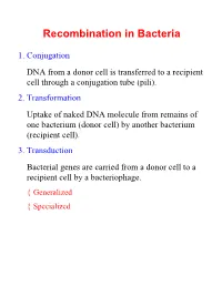Recombination in Bacteria
