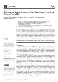 Studying the Genetic Diversity of Yam Bean Using a New Draft Genome Assembly