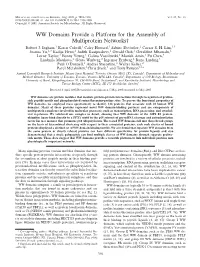 WW Domains Provide a Platform for the Assembly of Multiprotein Networks† Robert J
