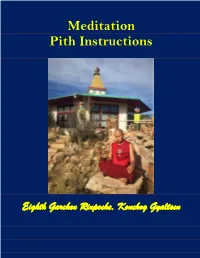 Meditation Pith Instructions