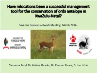 Have Relocations Been a Successful Management Tool for the Conservation of Oribi Antelope in Kwazulu-Natal?