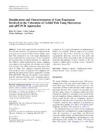 Identification and Characterization of Gene
