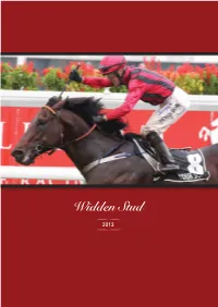 Sire Line, That of Halo, Through Daughters of More Than Ready