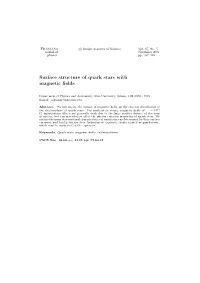 Surface Structure of Quark Stars with Magnetic Fields