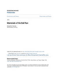 Mammals of the Bull Run