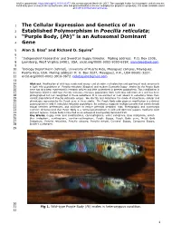 The Cellular Expression and Genetics of an Established Polymorphism in Poecilia 1167 Reticulata; “Purple Body, (Pb)” Is an Autosomal Dominant Gene, 1168 2