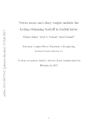 Vortex Arrays and Ciliary Tangles Underlie the Feeding–Swimming Tradeoﬀ in Starﬁsh Larvae