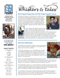 Caspca.Org Charities, and Is Helping Pet Owners and Adopters Address Issues Such As Behavioral Problems (I.E