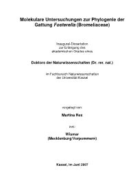 Dissertation Zur Erlangung Des Akademischen Grades Eines