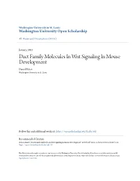 Dact Family Molecules in Wnt Signaling in Mouse Development Daniel Fisher Washington University in St