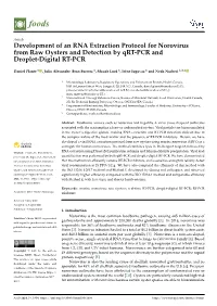 Development of an RNA Extraction Protocol for Norovirus from Raw Oysters and Detection by Qrt-PCR and Droplet-Digital RT-PCR