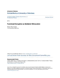 Functional Encryption As Mediated Obfuscation