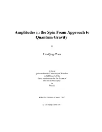 Amplitudes in the Spin Foam Approach to Quantum Gravity