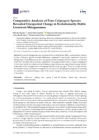 Comparative Analysis of Four Calypogeia Species Revealed Unexpected Change in Evolutionarily-Stable Liverwort Mitogenomes