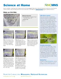 DIY Orb Weaver Spider