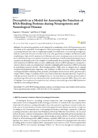 Drosophila As a Model for Assessing the Function of RNA-Binding Proteins During Neurogenesis and Neurological Disease