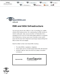 ESB and SOA Infrastructure