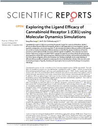 Exploring the Ligand Efficacy of Cannabinoid Receptor 1 (CB1)