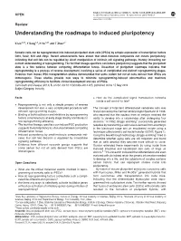 Understanding the Roadmaps to Induced Pluripotency