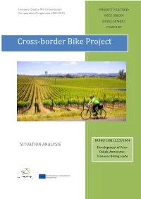 Cross-Border Bike Project /Problem Tree