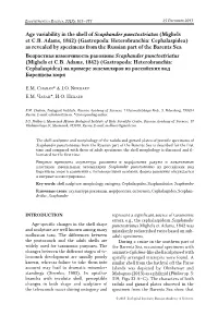 Age Variability in the Shell of Scaphander Punctostriatus (Mighels Et C.B