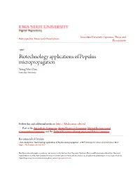 Biotechnology Applications of Populus Micropropagation Young Woo Chun Iowa State University