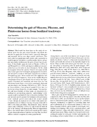 Determining the Gait of Miocene, Pliocene, and Pleistocene Horses from Fossilized Trackways
