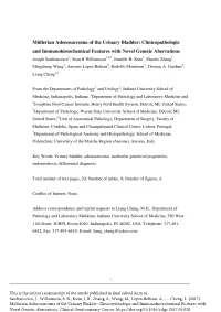 Müllerian Adenosarcoma of the Urinary Bladder: Clinicopathologic and Immunohistochemical Features with Novel Genetic Aberrations