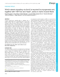 Wnt/Β-Catenin Signaling Via Axin2 Is Required for Myogenesis And