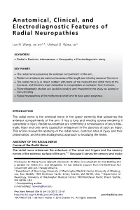 Anatomical, Clinical, and Electrodiagnostic Features of Radial Neuropathies