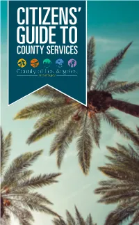 Citizens' Guide To