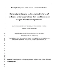 Morphodynamics and Sedimentary Structures Of