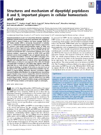 Structures and Mechanism of Dipeptidyl Peptidases 8 and 9