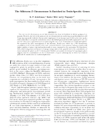 The Silkworm Z Chromosome Is Enriched in Testis-Specific Genes