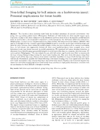 Non-Lethal Foraging by Bell Miners on a Herbivorous Insect