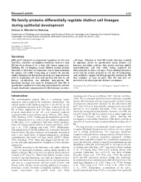 Rb Family Proteins Differentially Regulate Distinct Cell Lineages During Epithelial Development Kathryn A