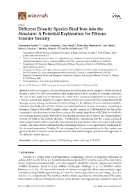 Different Erionite Species Bind Iron Into the Structure: a Potential Explanation for Fibrous Erionite Toxicity