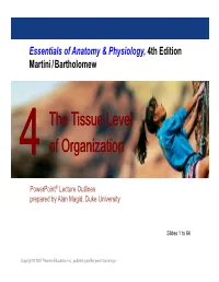 The Tissue Level of Organization the Tissue Level of Organization