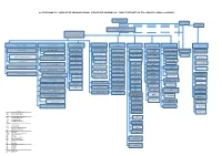 2020 Organogram