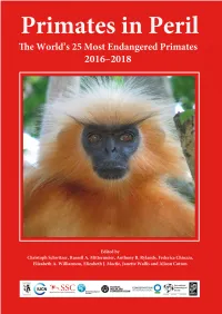 World's Most Endangered Primates