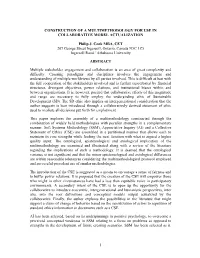 1 Construction of a Multimethodology for Use