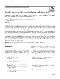 Camelids: New Players in the International Animal Production Context