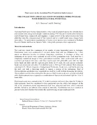 Final Report on the Australian Flora Foundation Funded Project the COLLECTION and EVALUATION of DAISIES (TRIBE INULEAE) with HORTICULTURAL POTENTIAL