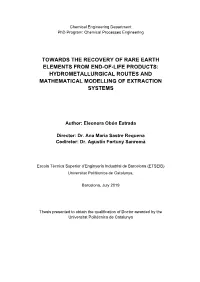 Towards the Recovery of Rare Earth Elements from End-Of-Life Products: Hydrometallurgical Routes and Mathematical Modelling of Extraction Systems