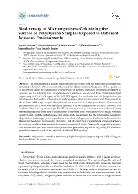 Biodiversity of Microorganisms Colonizing the Surface of Polystyrene Samples Exposed to Diﬀerent Aqueous Environments