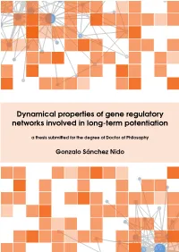 Dynamical Properties of Gene Regulatory Networks Involved in Long-Term Potentiation